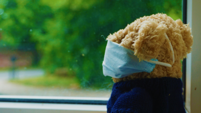 Teddy Bear looking out window