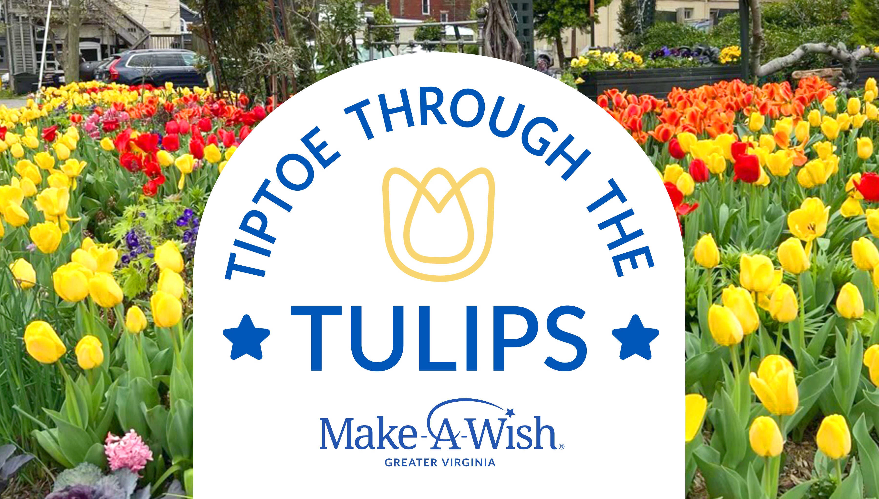 Tiptoe Through the Tulips