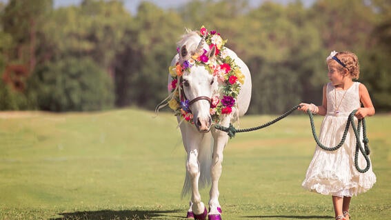 Charlotte walks her unicorn