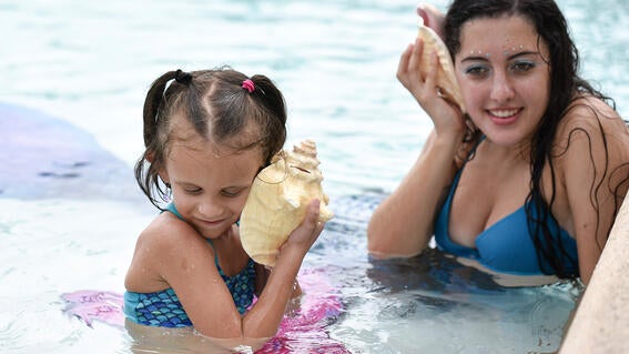 Lilli gets a call on her shell-phone