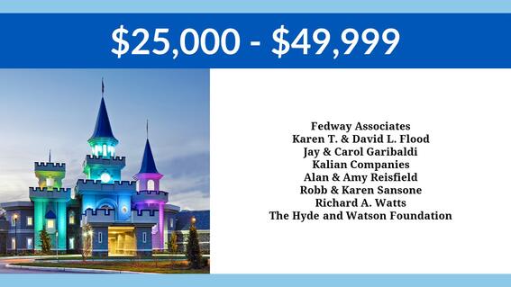 $25,000 - $49,999