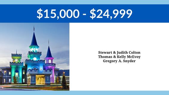 $15,000 - $24,999