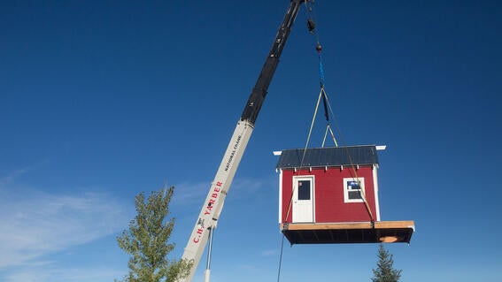 Wish kid Teagan's Treehouse