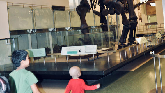 Ollie at the museum