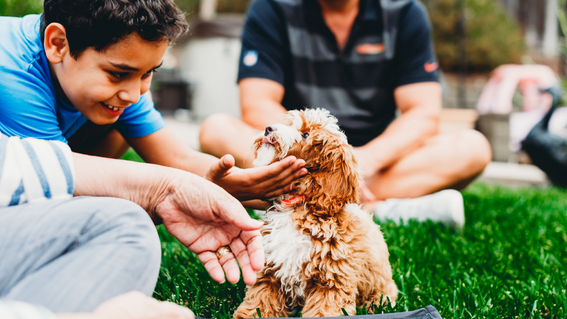 brother anthony with puppy