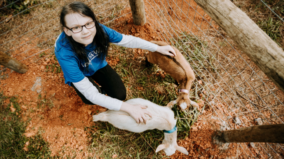 Madison helps her goats explore their new pen.