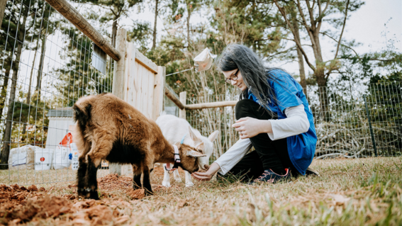 Madison feeds her goats a tasty treat.