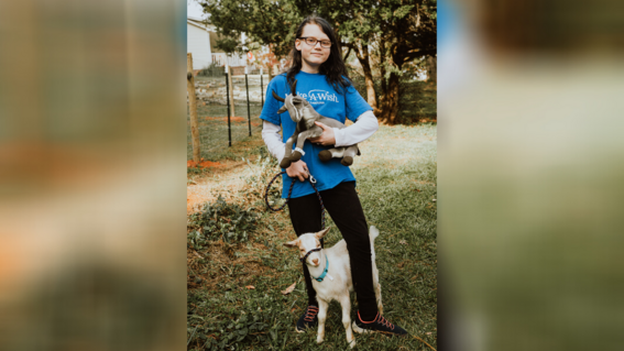 Madison with her toy goat that inspired her wish and her new real goat.
