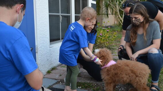 Addie's wish to have a bernedoodle