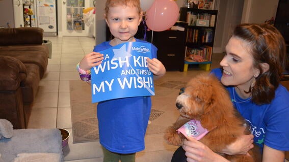 Addie's wish to have a bernedoodle