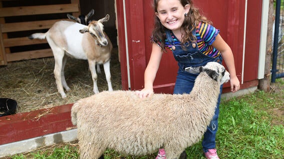 Girl in overalls pets goats and sheep