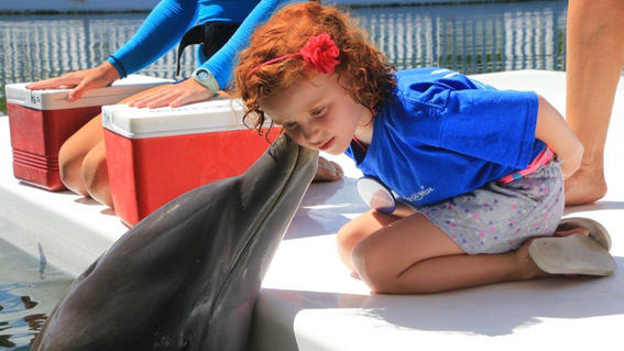Daniella's wish to swim with dolphins