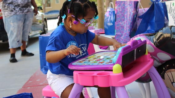 Sariah's pink toys
