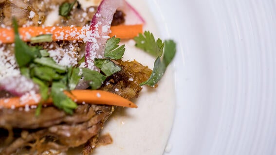 Gourmet Wishes - Sample food from the areas finest restaurants