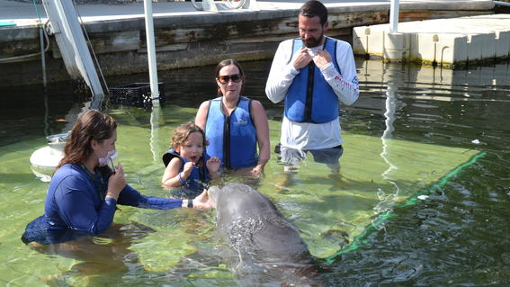Hannah swims with dolphins