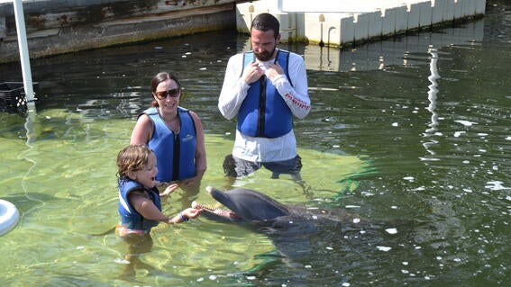 Hannah swims with dolphins