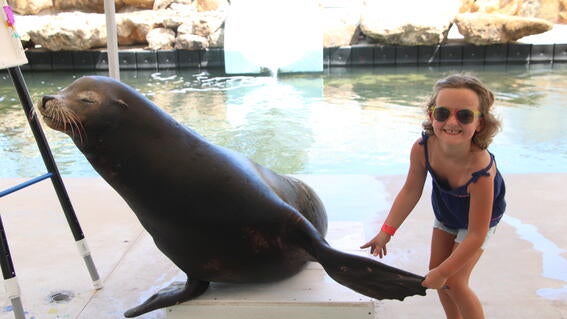Hannah swims with dolphins