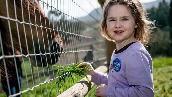 Corah's Wish to meet Spirit