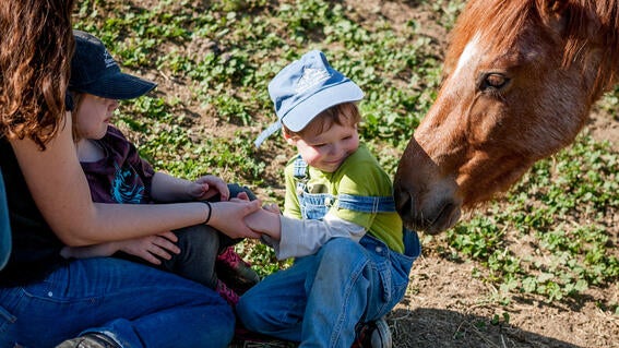 Corah's Wish to meet Spirit