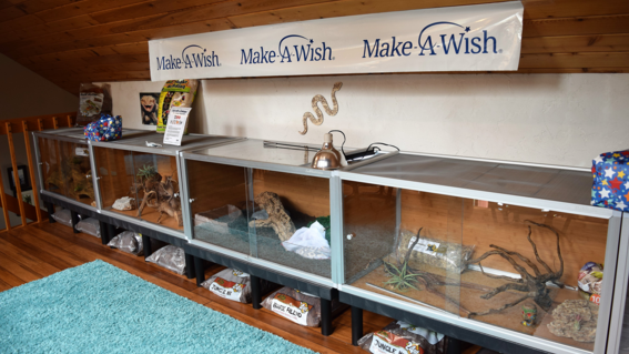 new reptile tanks lined up along the wall