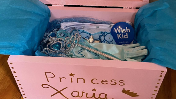 Xaria's Wish for a Pink Castle