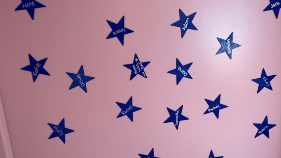 Xaria's Wish for a Pink Castle