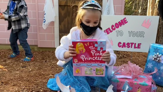 Xaria's Wish for a Pink Castle