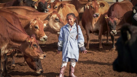 Annie gets close and personal with her farm friends.