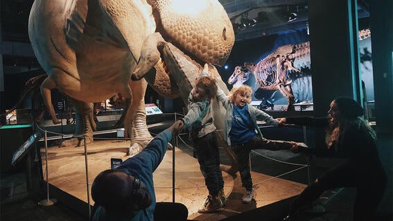 Jules' wish to meet dinosaurs