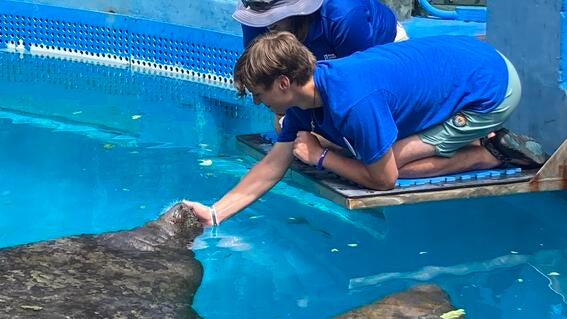 Dylan Cares For Animals