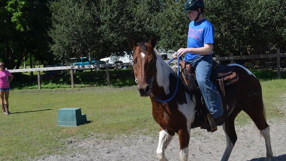 Cody Takes the Reins