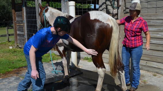 Cody Takes the Reins