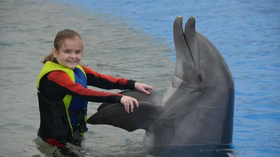 Sadie w dolphin- TX gulf