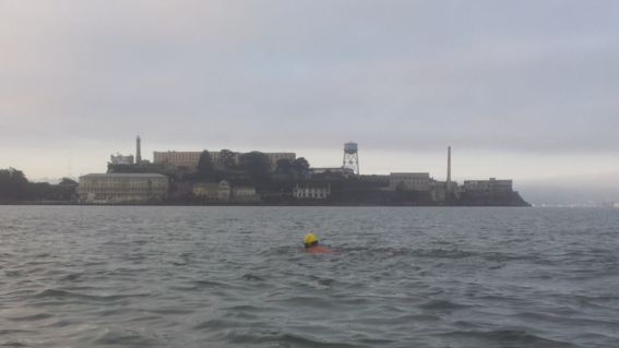 Daniel swimming in the open Bay near Alcatraz