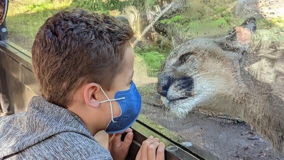 Oban's Picture Perfect Wish
