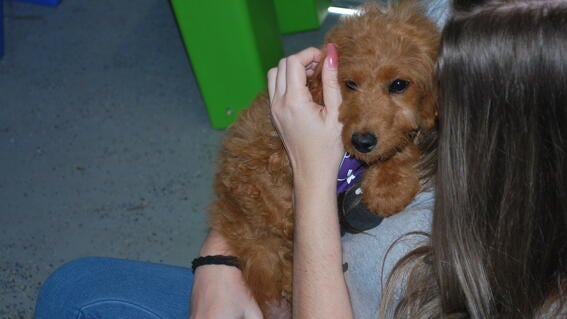 Estrella Meets Her Match