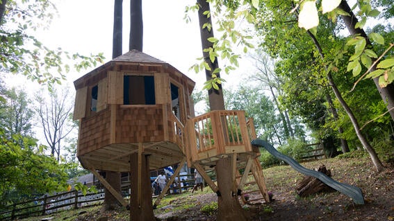 Kalli's treehouse