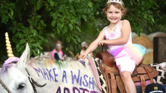 addie's wish 6