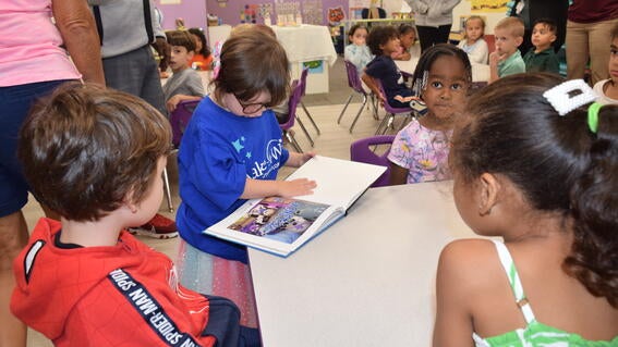 Quinn's Storybook Wish