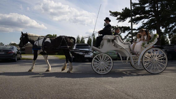 Horse drawn carriage ride