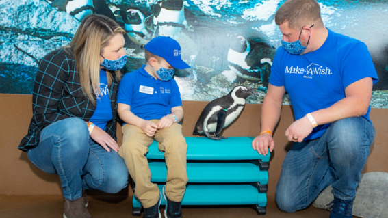 Jackson's Wish to be a Penguin Handler