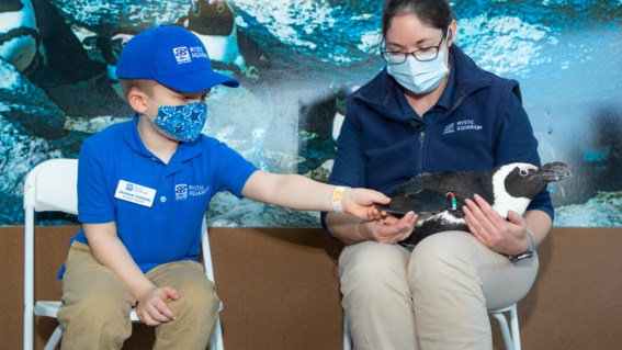 Jackson's Wish to be a Penguin Handler