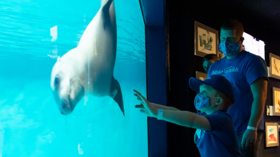 Jackson's Wish to be a Penguin Handler
