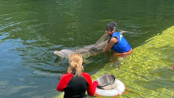 Kailyn swims with a dolphin