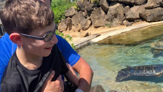 Nikita watches sea turtles