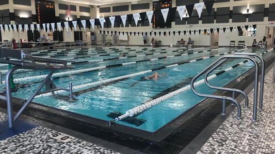 swim to a wish 1