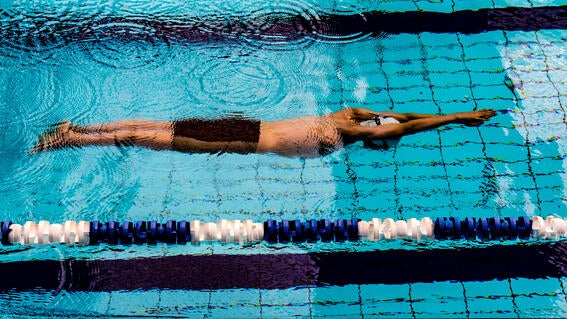 swimmer in the water