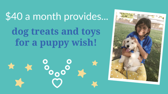 $40 a month provides treats and toys for a puppy wish