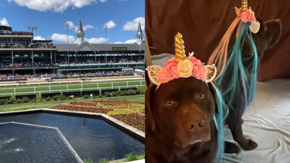 Clover Clue 8