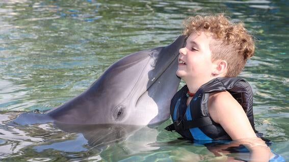 Harrison swimming with dolphins